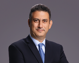 Non-Executive Independent Director